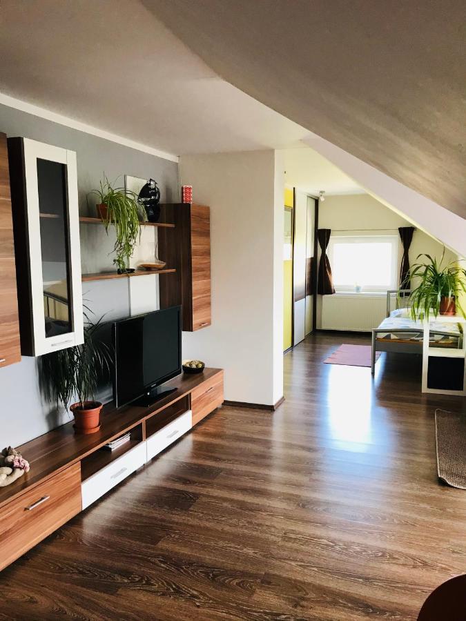 Appartement Cyklonocleh à Veselí nad Moravou Extérieur photo
